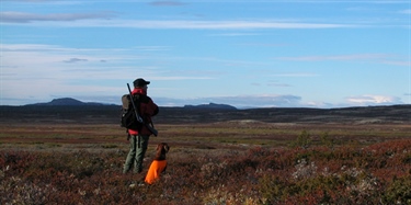 Stor verdiskapning fra jakt og fiske